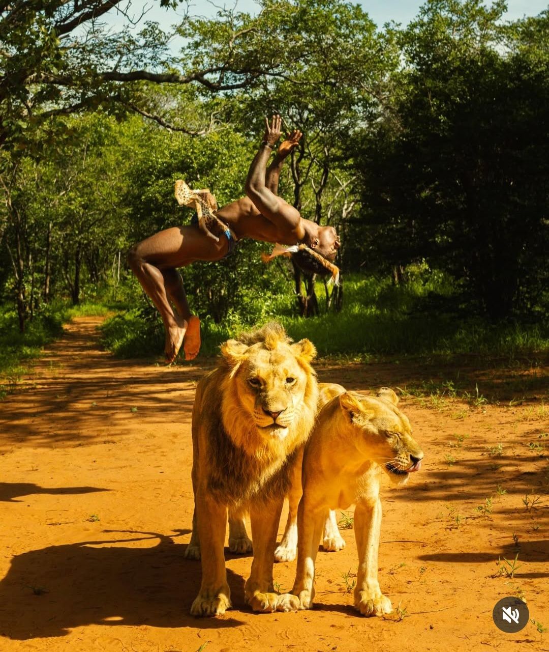 Walking Safaris